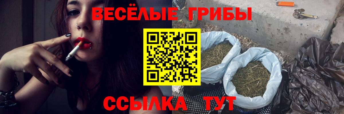 Галлюциногенные грибы Cubensis  Вход с VPN  Владикавказ 